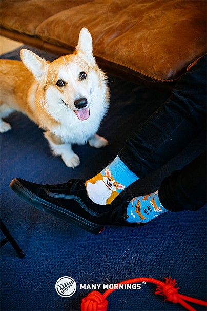 Playful_Dog