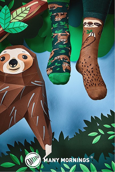 Sloth_Life