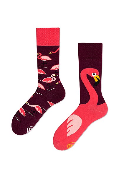 Pink_Flamingo